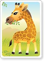 Baby Animal - Giraffe